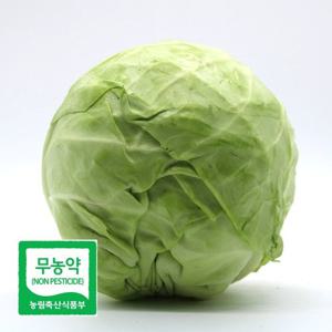 친환경 무농약 양배추 2kg 국내산 아삭아삭 매일이 가벼워지는 한 끼