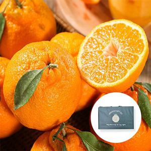 제주 한라봉 선물용 5kg 특품 (9-18과)