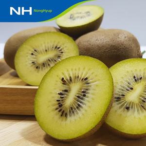 순천 골드키위 2kg(21과 내외)