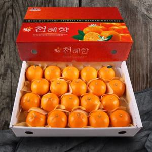 [올찬농산] 천혜향 선물세트(왕특대/특대) 5kg(13~23과) / 제주직송 !!