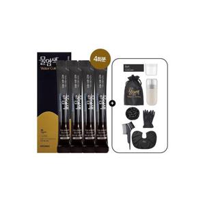 [씨드비]씨드비 물염색 비건 새치 홈쇼핑 동일 김혜수 염색약 4회분+염색도구