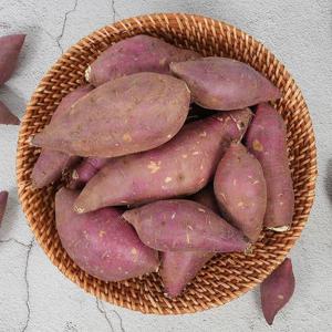 25년 해남 햇 호박고구마 대 3kg(300g이상)