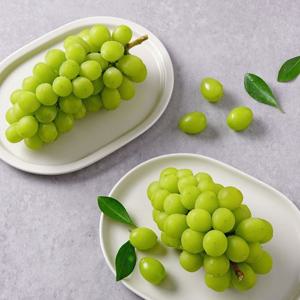 [더조은] 전남 보성 샤인머스캣 2kg 3-4송이 내외