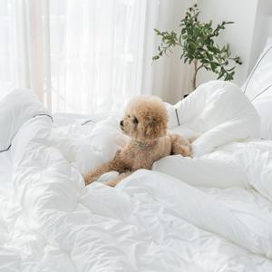 누리홈 (효성M2원사) 투게더 알러가드 호텔식 파이핑 침대패드 슈퍼싱글 / 2컬러