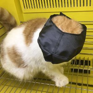 고양이 심신안정 눈가리개