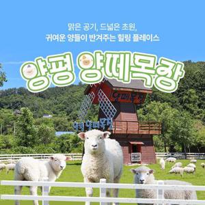[슈퍼트립] 경기 양평 양떼목장 단독특가 프로모션, 이용기간 최대 5월 31일까지, 주중&주말 공통혜택