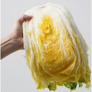 [산지직송]강원도 청정 고랭지 절임배추 20kg