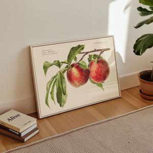 상큼한 복숭아 빈티지 일러스트 과일그림 포스터