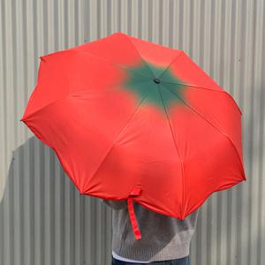 귀여운 과일 토마토 3단접이식 수동 우산 양산 양우산