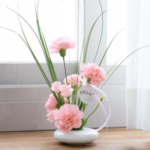 가정의달 선물 카네이션 조화 화분 set 48x40cm 꽃 어버이날 스승의날