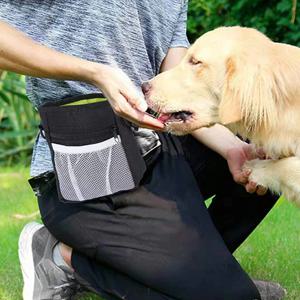 빅 트릿백 간식 주머니 강아지 산책 훈련 가방