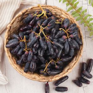 수입 프리미엄 씨없는 블랙 사파이어 포도 500g 외 800g/ 2.4kg