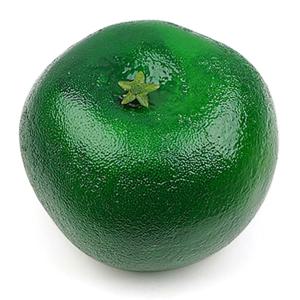 별꼭지 청 귤 모형 그린 7.6cm 과일모형