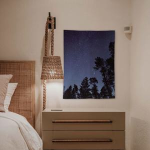 밤하늘 오로라 패브릭 포스터 32종 - 04.포레스트