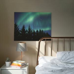 밤하늘 오로라 패브릭 포스터 32종 - 19.네오와이즈