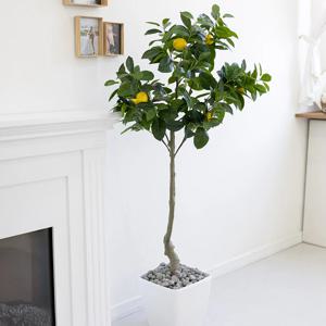 레몬나무 조화나무 대형 과일나무 인조 120, 150cm 2sizes 조경 인테리어