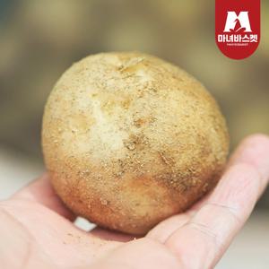 산지직송 햇감자 수미감자 특 5kg (130~180g 내외)