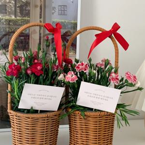 가정의달 카네이션 레드 핑크+바구니 소형 중형 어버이날 부모님 생화 화분 선물