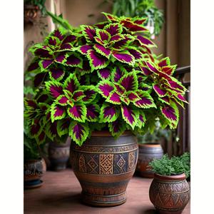 TEMU 15.75 * 19.69인치 프레임리스 페인팅 키트 (5D 원형 포함). 클로버 아트 작품입니다. 가정 장식을 위한 벽 장식으로 사용할 수 있으며, 편안한 수제 활동이며 완벽한 선물 아이디어입니다.