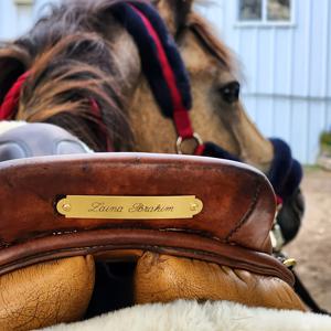 TEMU 맞춤형 레이저 각인 스테인리스 스틸 네임플레이트 - 안장/장비 태그용, 브러시드 & 레이저 에칭 개인화 승마 액세서리 - 말용품, 안장, 배너용 승마 선물