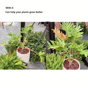 TEMU 8개 투명 식물 지지 프레임, 몬스테라 지지대, 꽃 지지 스탠드, 식물 넘어짐 방지 꽃대, 조류 안정, 녹색 식물, 봄 깃털 가지 고정 프레임 - 다양한 식물에 적합 - 플로럴