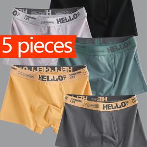TEMU 5피스 남성용 롱 드로즈 팬츠 반바지 패션 HELLO 남성용 속옷, 부드러운 청소년 속옷, 남성용 반바지 통기성 편안한 속건성 신축성 드로즈 팬츠, 스포츠 팬츠, 남성용 속옷