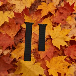 TEMU Apple Watch 밴드 49mm 46mm 45mm 44mm 42mm 41mm 40mm 38mm 호환 자석 시계 밴드, 얇은 실리콘 교체용 손목 밴드, Iwatch SE SE2 및 Series 10/9/8/7/6/5/4 Ultra 2용 강력 자석 링크