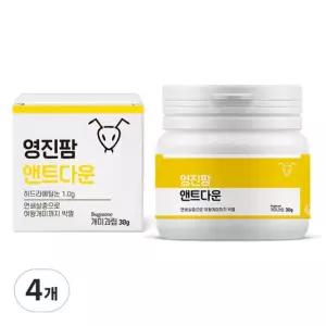 영진팜 앤트다운 개미과립 여왕개미까지 박멸 텃밭 마당 집개미 퇴치 4개 30g