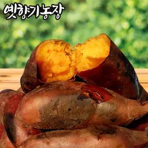 강화도 꿀고구마 베니하루카 (상등) 10kg / 달콤 촉촉