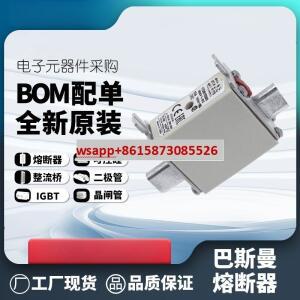 170M1567D 퓨즈