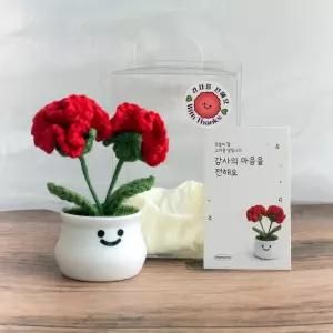 메무모 카네이션 뜨개 화분 선물 미니엽서 포함 어버이날 스승의날