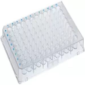 BrandTech 4850-820 K5 이산화규소 겔 흡수 크로마토그래피 TLC 플레이트 사전 흡착 구역 없음 20cm x 크기