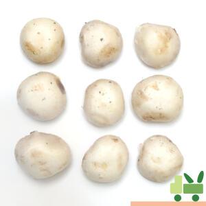 양송이 1kg (비품)