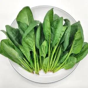 [사계절청년농부]농장직송 싱싱한 시금치 4kg