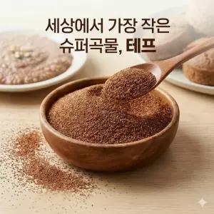 테프 곡물 teff 밥 슈퍼곡물 효능 먹는법 2kg