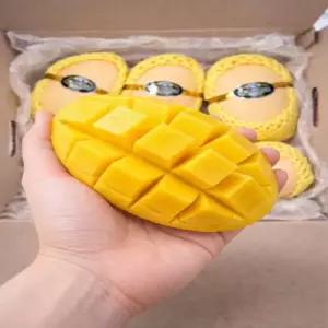 [항공] 남독마이 골드망고 태국 프리미엄 망고 2.5/5k