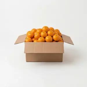 제주 프리미엄 진지향 가정용 2kg