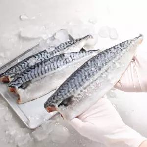 왕특대 노르웨이 고등어 180-210g x 10팩 노르웨이산지가공 한번 얼린 고등어
