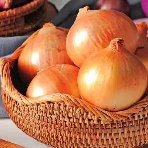 [농업회사법인 산들] 무안 햇양파 대,중 혼합 5kg,10kg