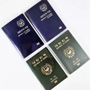 [라일리] Rly WL 투명 반투명 신여권 구여권 여권 지갑 케이