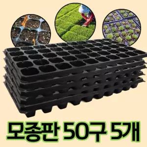 (50구 5개) 모종 트레이 모종판 육묘판/온실/하우스/쟁반/모판/재배틀/씨앗/식물/포트/원예용/포트판