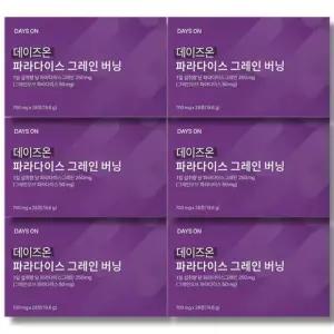 데이즈온 파라다이스 그레인 버닝 28정 6박스