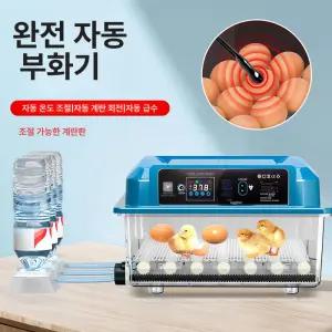 스마트 계란부화기 조류 부화기 유정란 병아리 메추리알