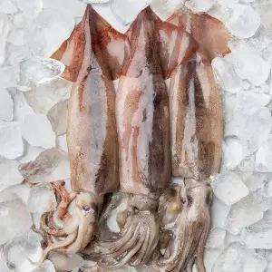 신선한 손질오징어 2미 280g 3팩