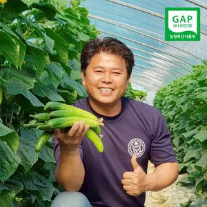쓴맛 없이 맛있는 오이 소박이 오이지용 양주농부 클로렐라 백다다기오이 5kg (30개-34개)