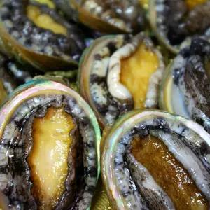 완도 큰 전복 5-6미 활전복 회 찜 구이 산소포장