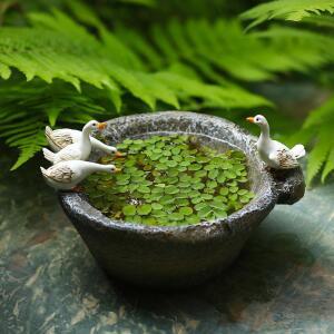 정원꾸미기 돌수반 미니연못 금붕어 타원 연꽃수반 흙색 수경재배 연못 스톤 돌확