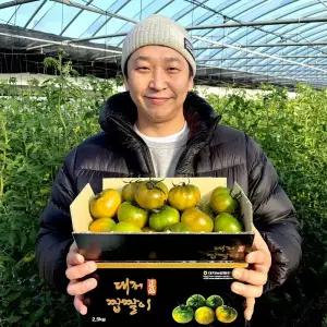 [당일새벽수확] 부산 대저 토마토 정품 짭짤이 로얄과 (S-3S) 2.5kg