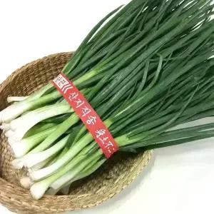 국내산 깐쪽파 쪽파 1단