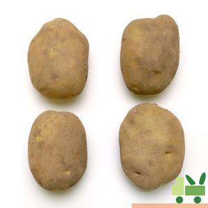 감자 5Kg (왕)